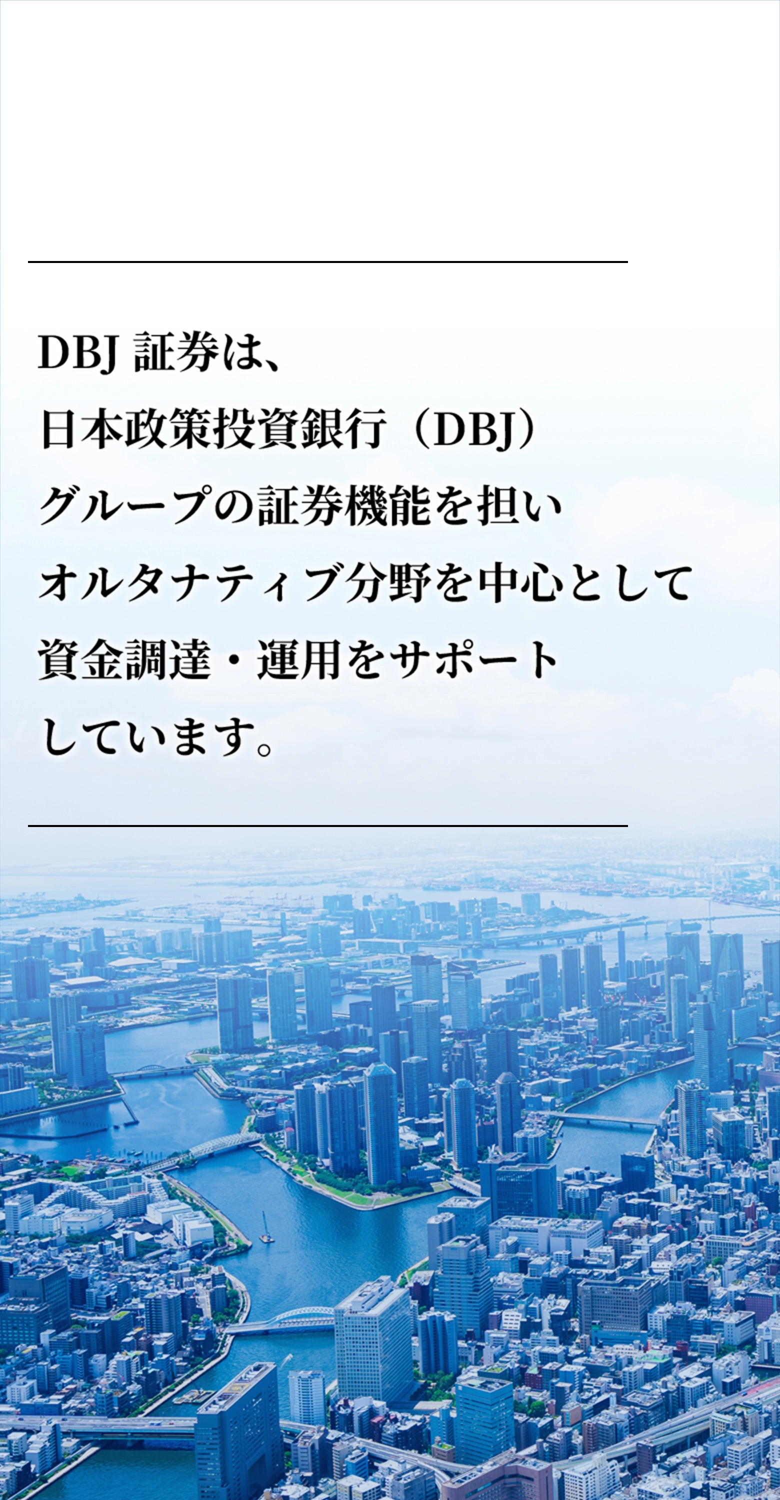 DBJ証券のビジネスシーン 1